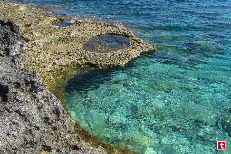 Mare Isola di Capraia